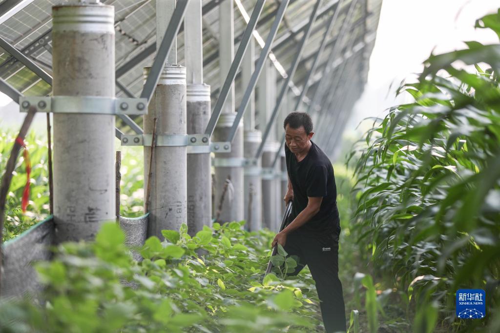 捕鱼娯乐城停服了吗